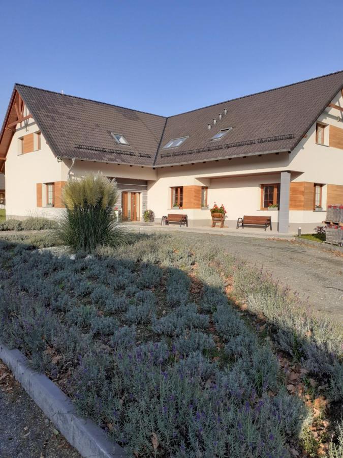 Agroturystyka Aura Kostrzyca Екстериор снимка
